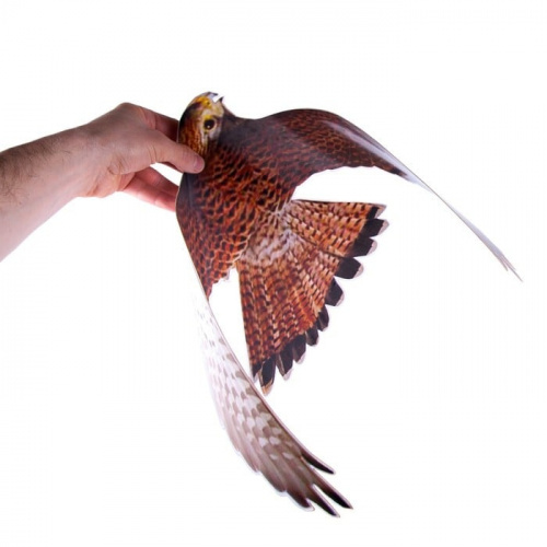 Изображение товара Отпугиватель птиц Хищник-3 (Пустельга) визуальный от магазина Оптикум фото 3