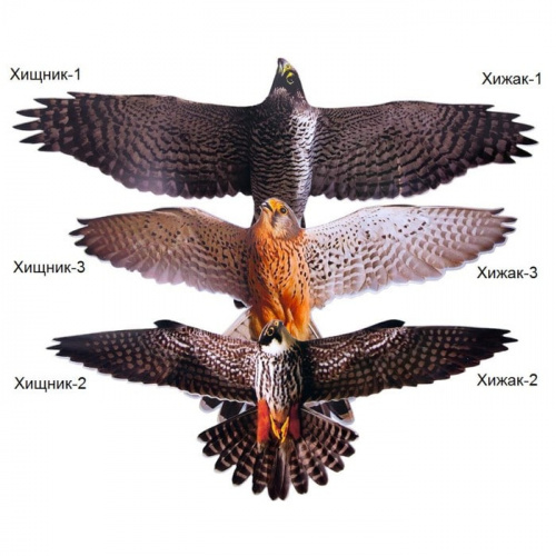 Изображение товара Отпугиватель птиц Хищник-1 (Ястреб) визуальный от магазина Оптикум  3