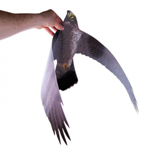 Изображение товара Отпугиватель птиц Хищник-1 (Ястреб) визуальный от магазина Оптикум  2